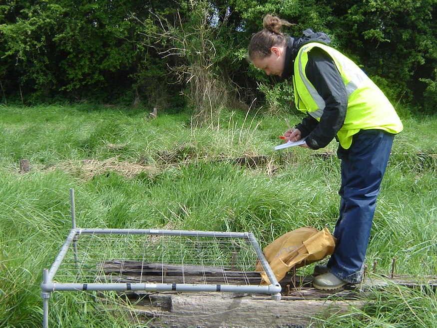 Using a Planning Frame